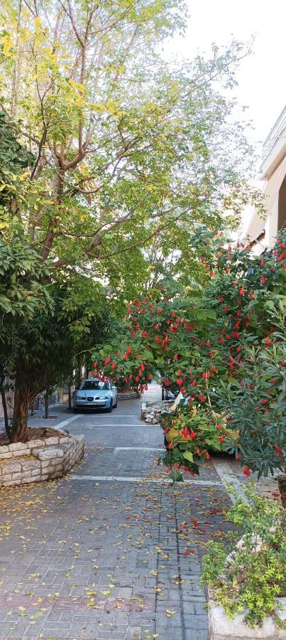 Lovely Nest Πειραιάς Εξωτερικό φωτογραφία